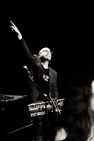 Savoy Truffle – Zippo