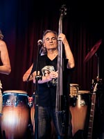 Savoy Truffle – Dinosaur Sr. – The Concert!