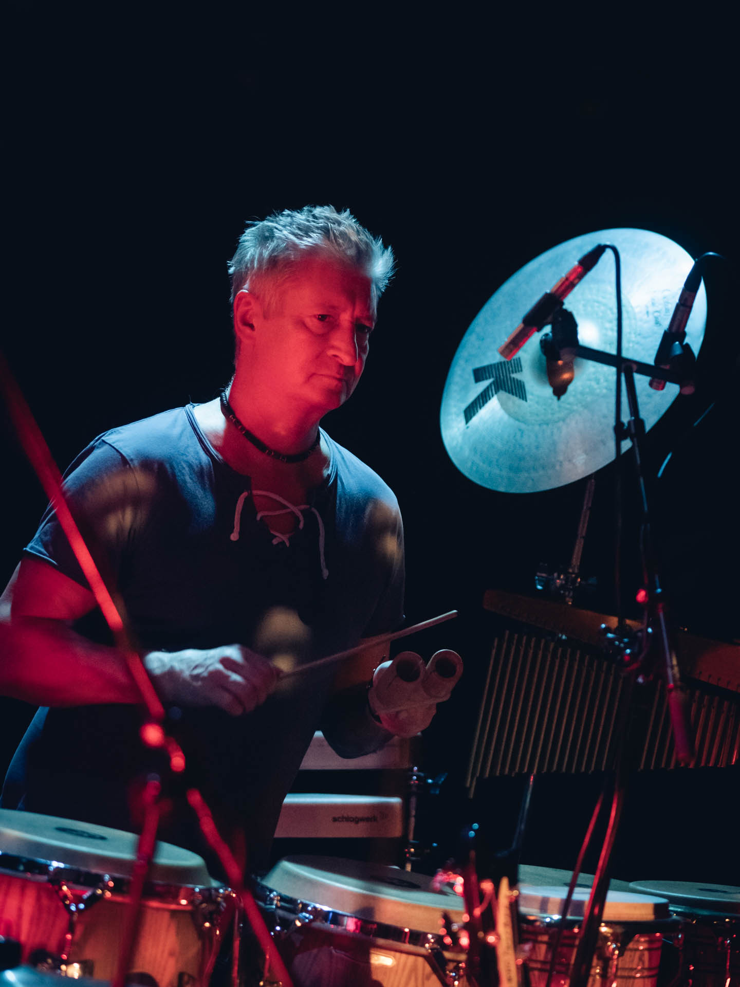 Savoy Truffle @ Theater im Viertel