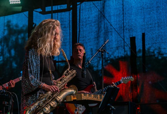 Savoy Truffle @ Little Woodstock