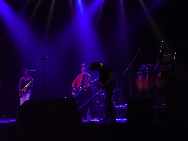 dsc01239.jpg