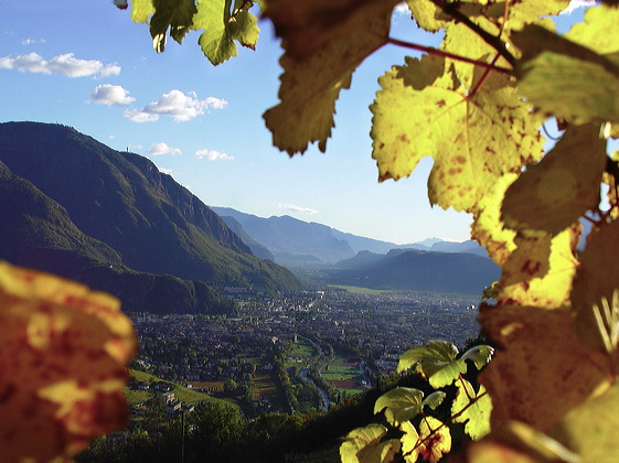 bozen_bolzano_06822.jpg