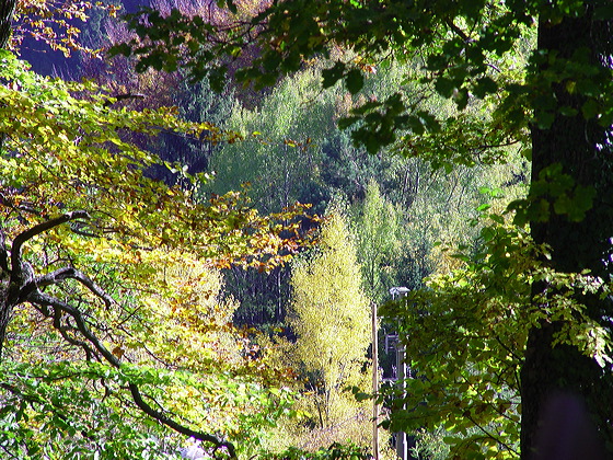 herbst.dsc05528.jpg